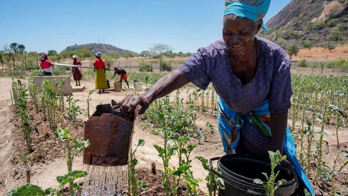 Picture of a women watering her plot in the community garden in Chivi